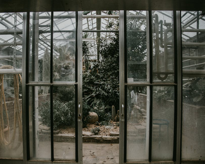 A tranquil scene of diverse plants inside a greenhouse viewed through a glass sliding door.