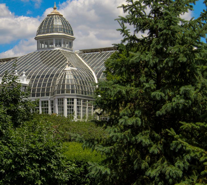 A stunning glass-domed greenhouse surrounded by lush greenery under a clear sky.