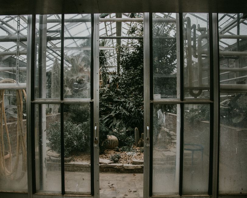 A tranquil scene of diverse plants inside a greenhouse viewed through a glass sliding door.